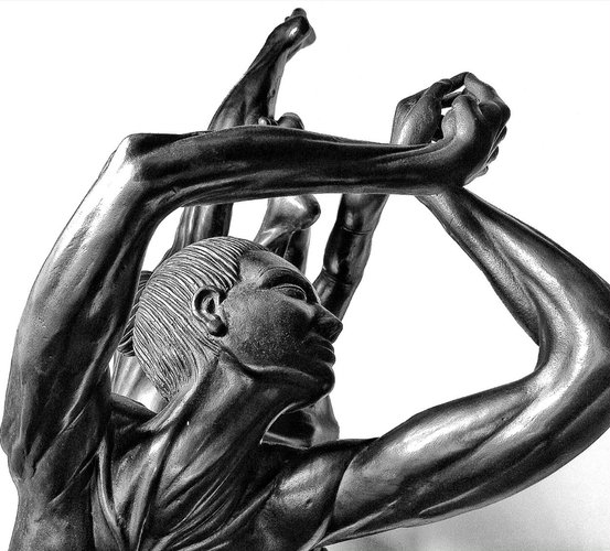 Muse del disincanto particolare