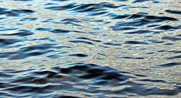Waters 3085701 1280