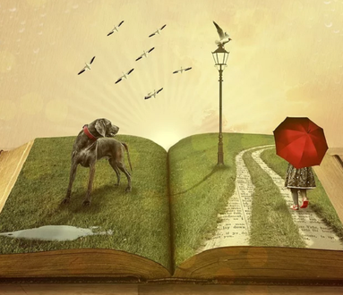 Libro in poltrona | EVENTO ANNULLATO