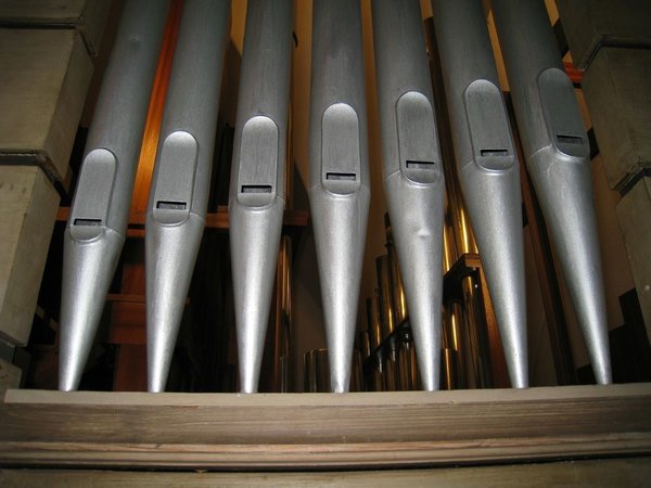 Organo a pipa