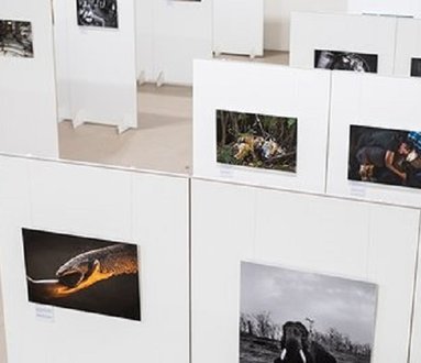 Lugano Photo Days