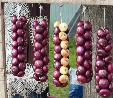 Mercato delle cipolle