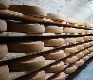 Caseifici aperti 2020 - Ticino