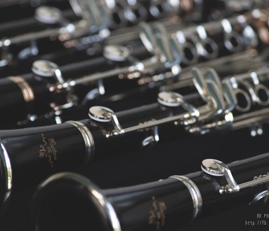 Mostra di strumenti e materiale musicale