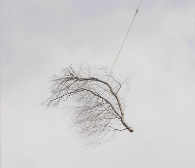 Natura-Struttura | Primo Tempo: Natura